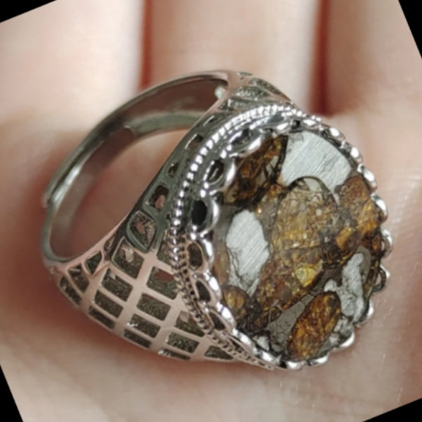 Brenham Meteorite Ring,Nature Meteorite Material Olive Meteorite Ring Jewelry 925 silver. The ring is suitable for various j1.1