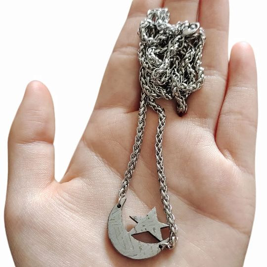 Meteorite Pendant Muonionalusta Iron Meteorite Necklace TD68